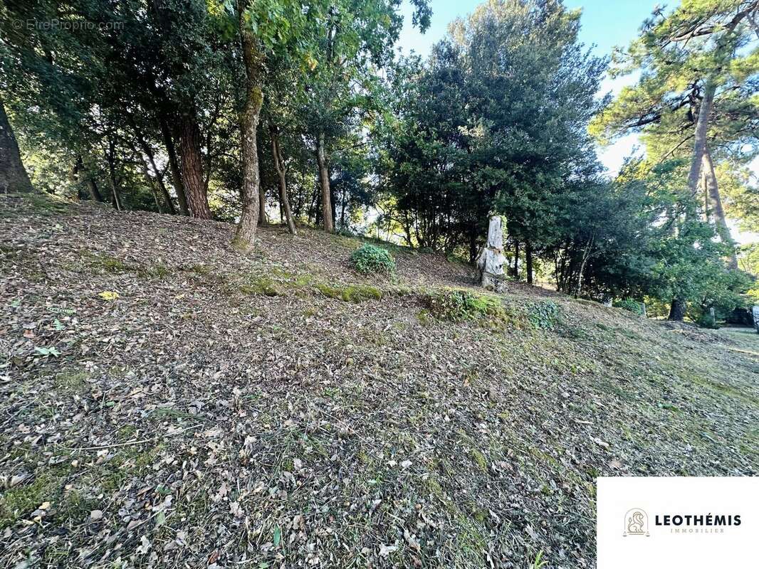 Terrain à LA TREMBLADE