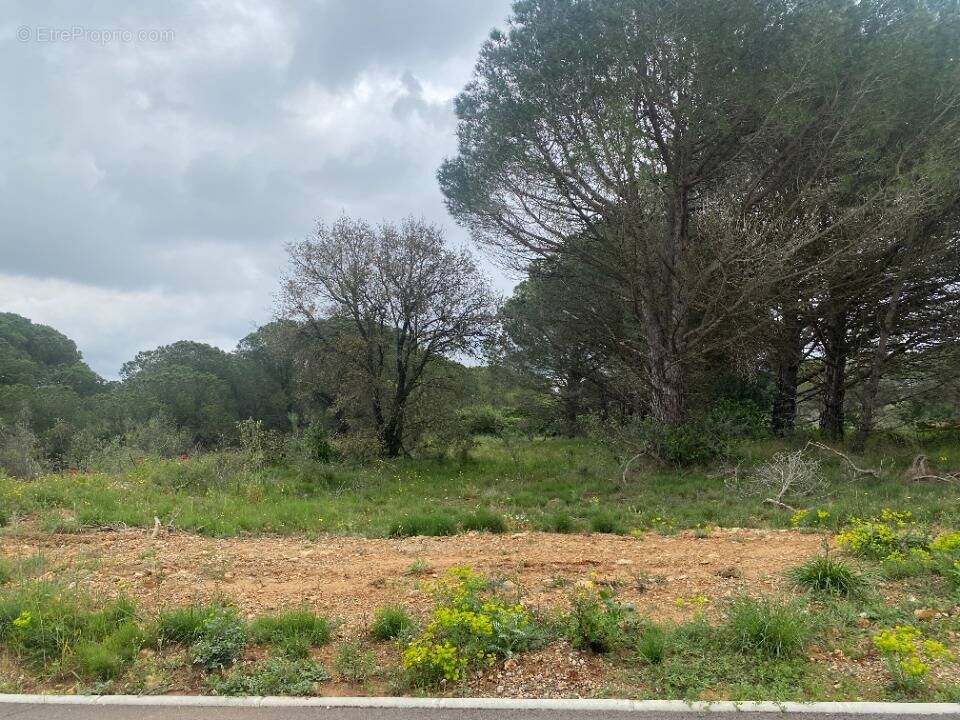 Terrain à MARCORIGNAN