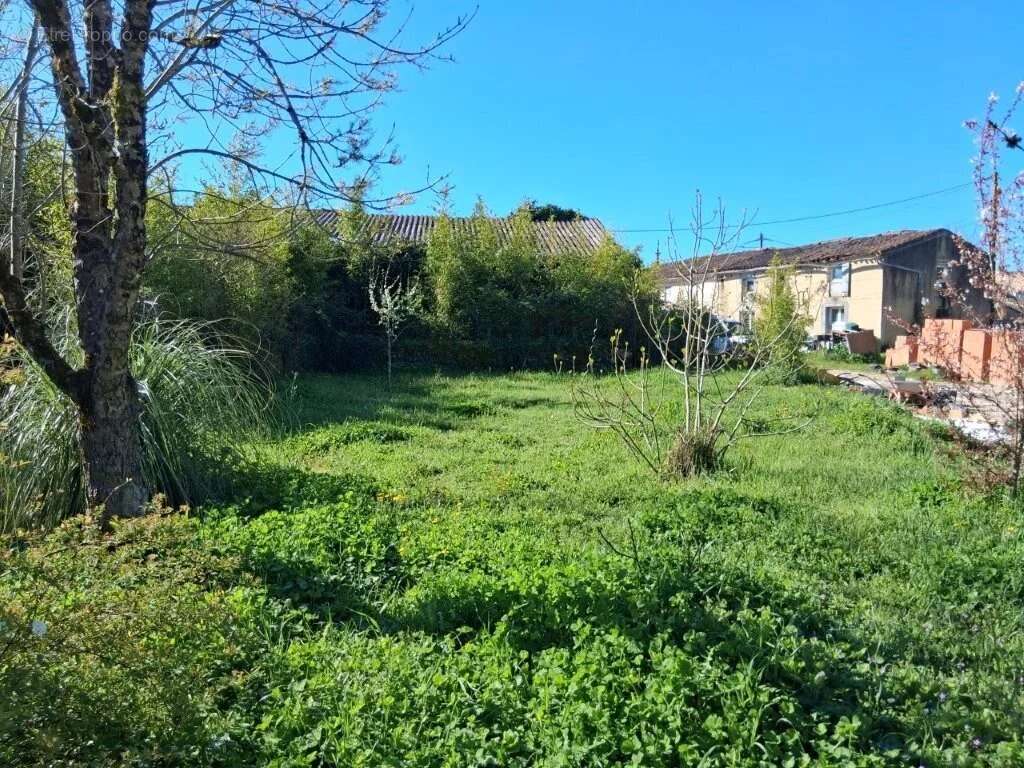 Maison en pierre à Berson - photo 3
