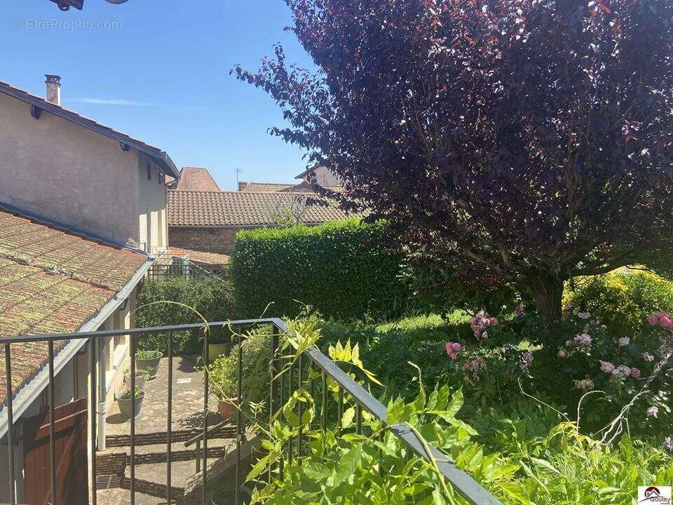 Maison 196 m² à Ambierle  - photo 7
