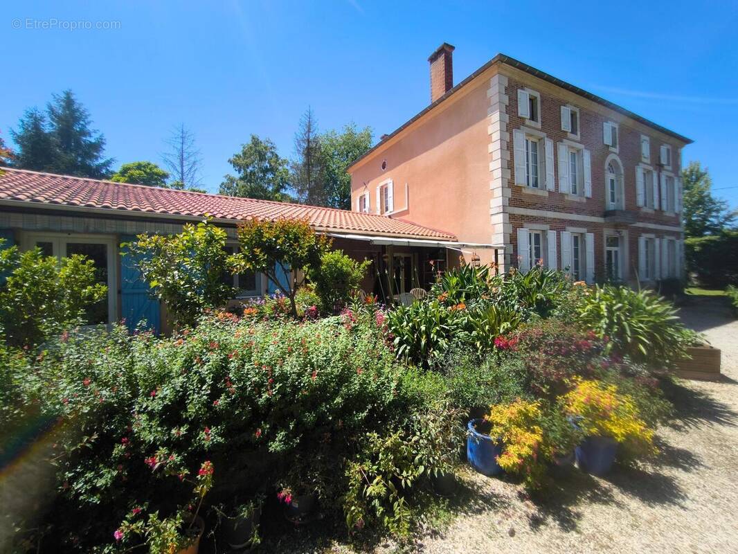 Photo 1 - Maison à NOGARO