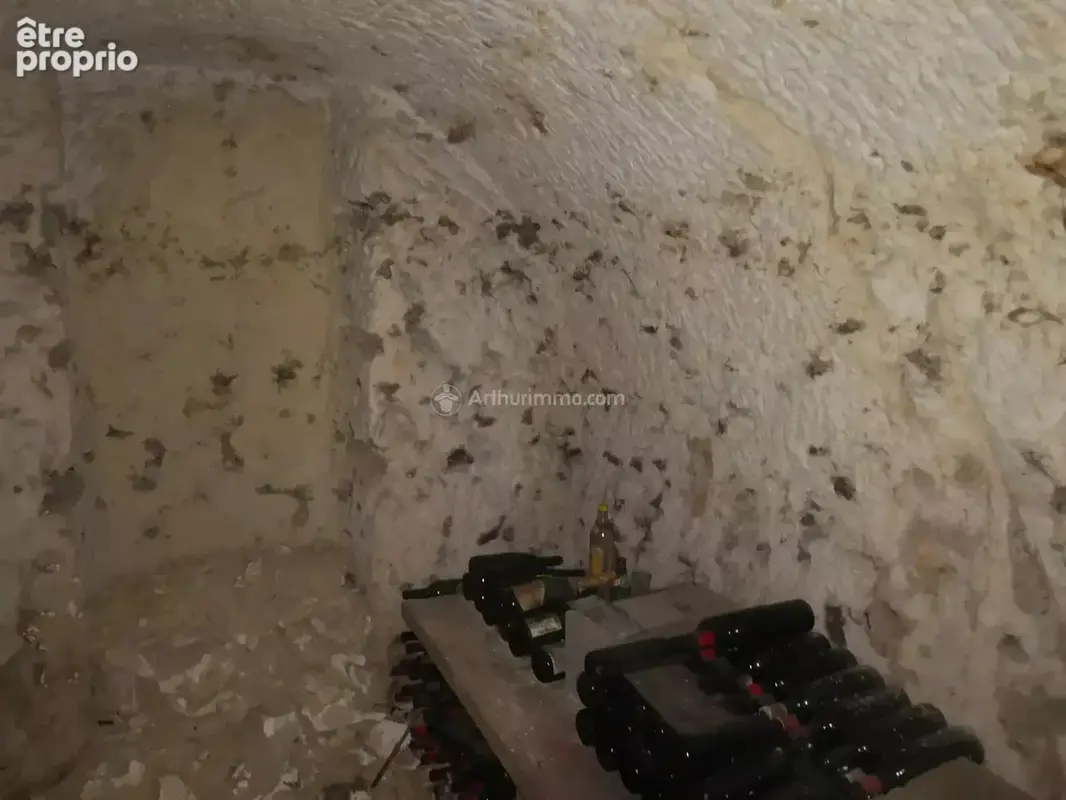 Cave troglodyte atypique - photo 5