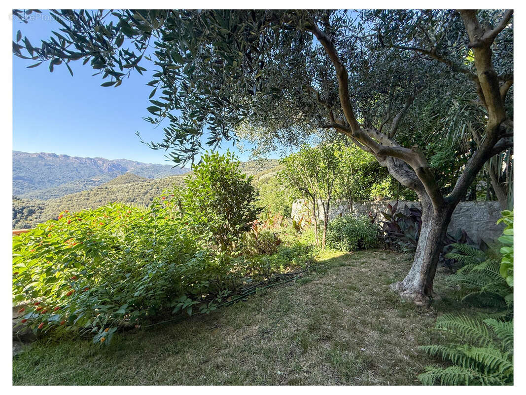 Maison à SAINTE-LUCIE-DE-TALLANO