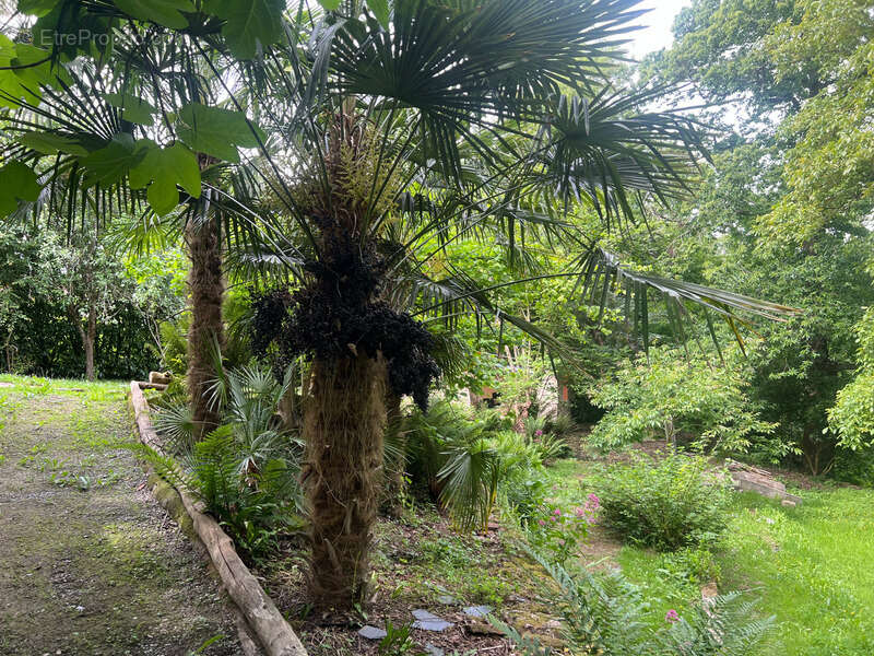 Maison à PLESLIN-TRIGAVOU