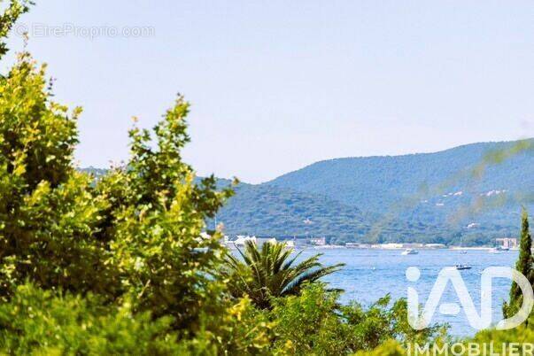 Photo 1 - Appartement à SAINTE-MAXIME