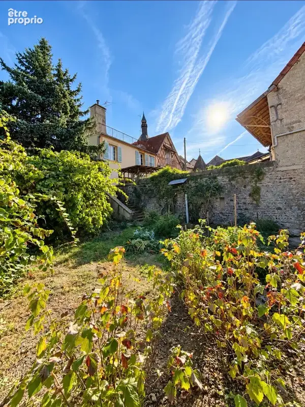 Propriétés de caractere- 300 m2 - au cozur du quartier historique de Bourbon Lancy - photo 43
