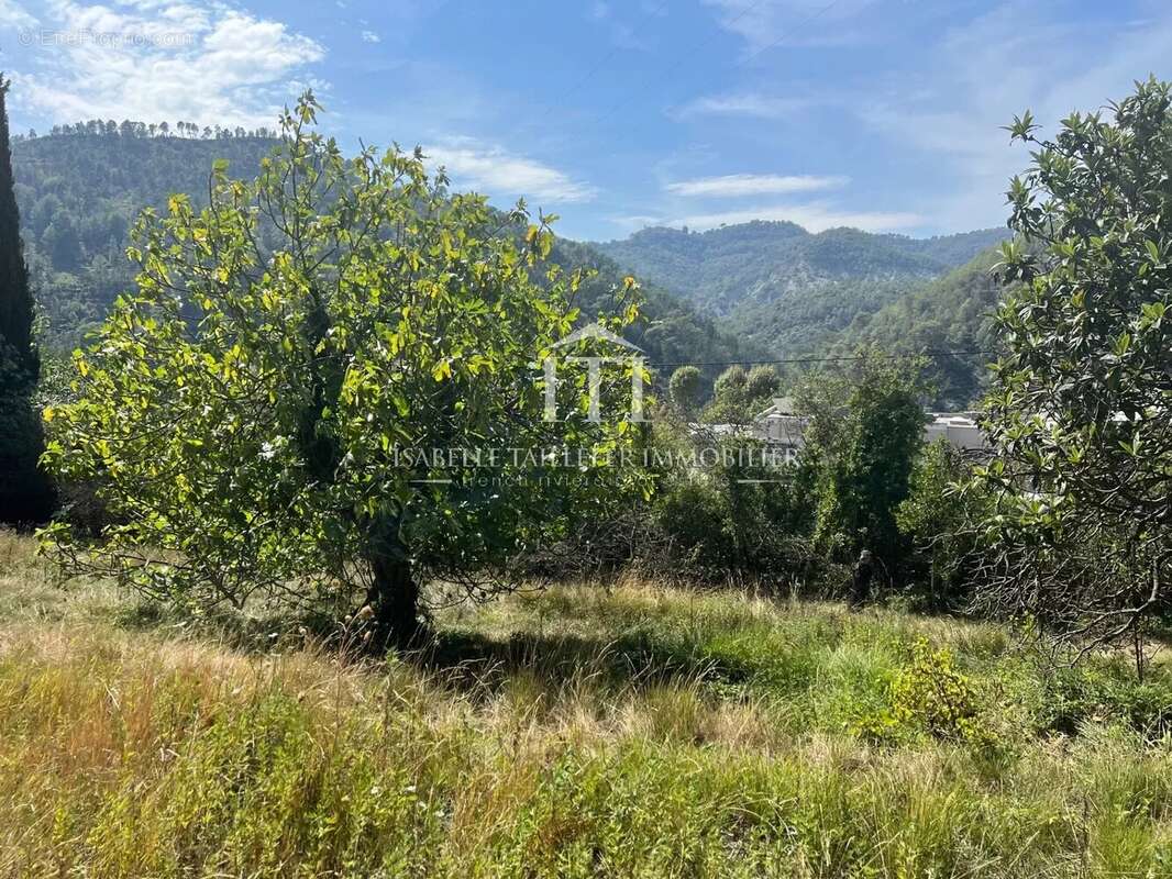 Terrain à L'ESCARENE