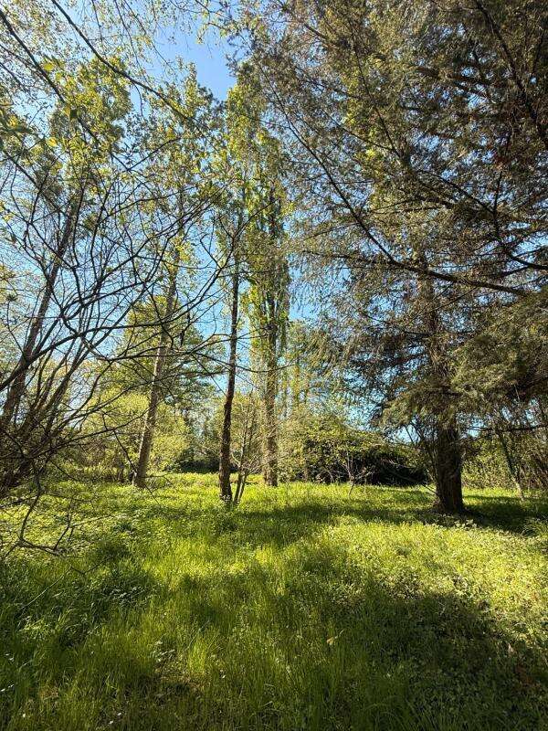 MAGNIFIQUE Moulin de Peurousseau 142m², 4 chambres sur terrain de 4663m² 149 000 € - photo 63