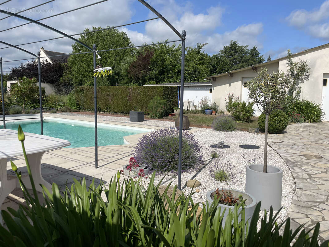 Maison Tuffeau avec piscine - photo 11