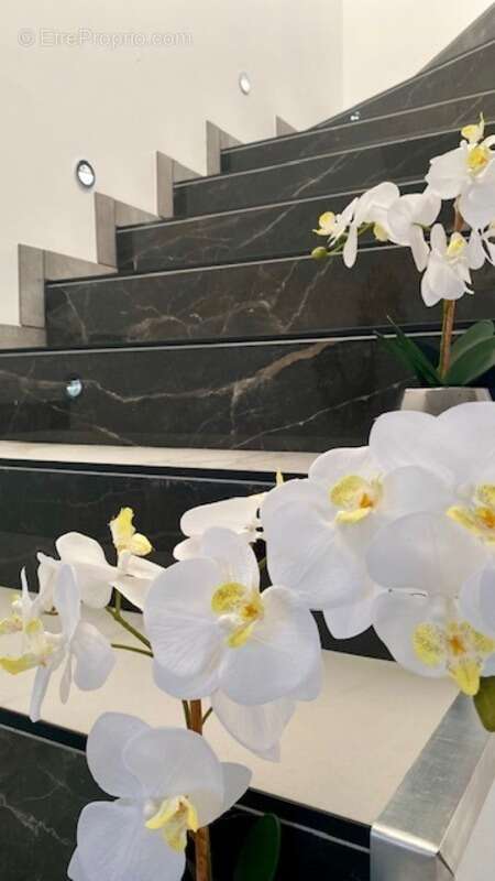 Maison à MONTERBLANC