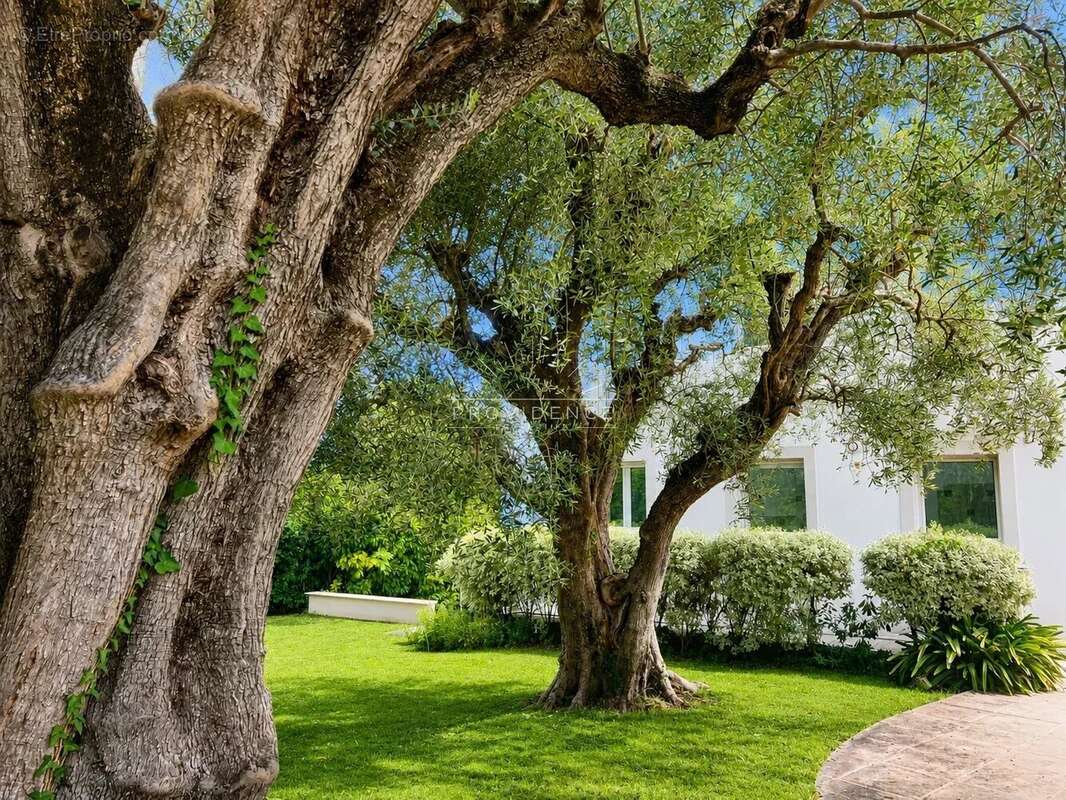 Le Cannet Europe - Villa 266 m², 5 chambres, piscine, jardin plat et vue mer - photo 19