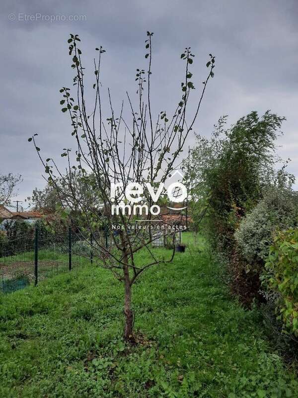 Maison à SAINT-REMY-EN-MAUGES