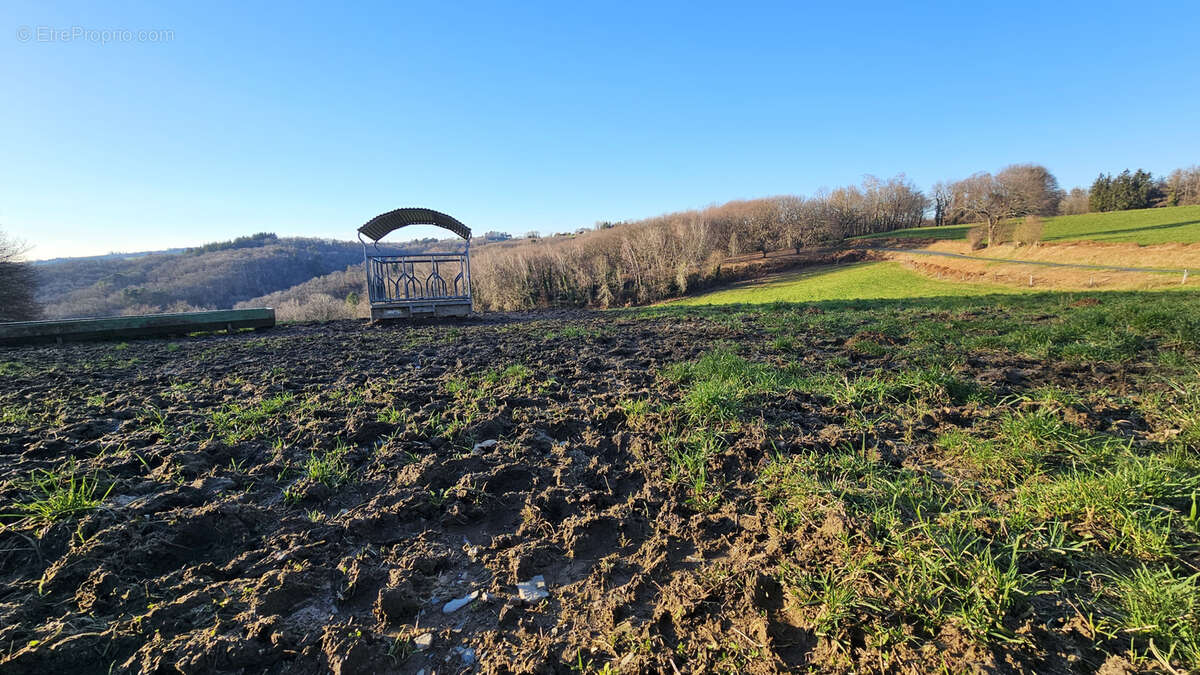 Terrain à VIGNOLS