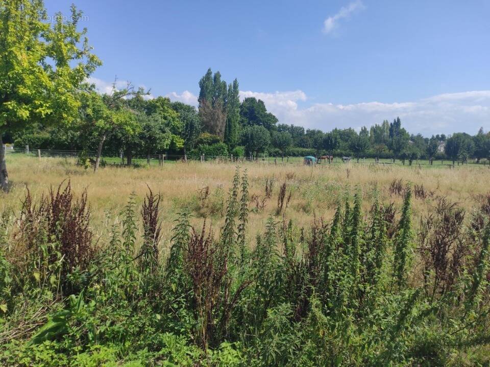 Terrain à SAINT-MARTIN-AUX-CHARTRAINS