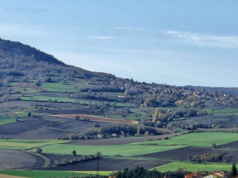 Terrain à VEYRE-MONTON