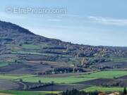 Terrain à VEYRE-MONTON
