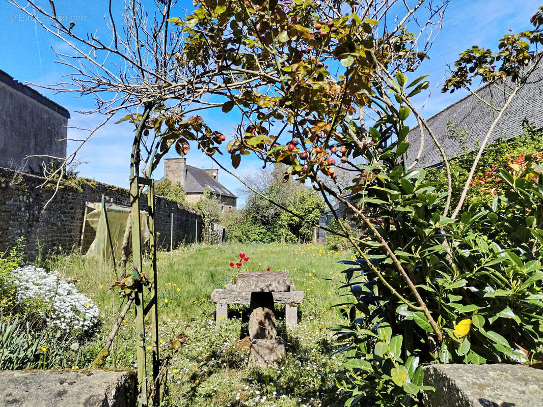 Maison à LOUVIGNE-DU-DESERT