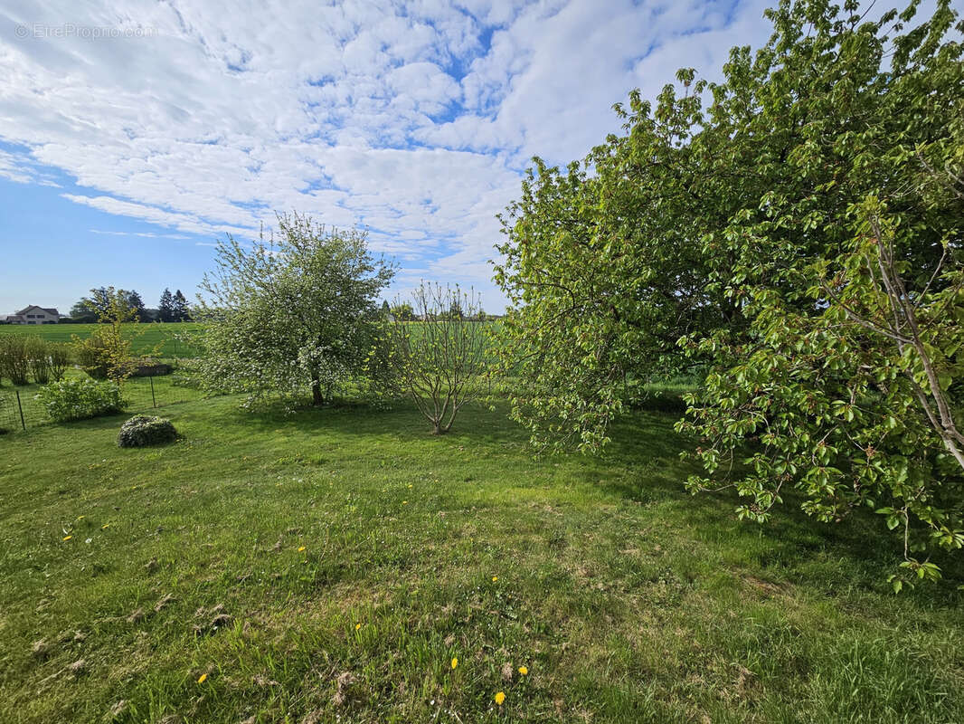 Maison à GERGY