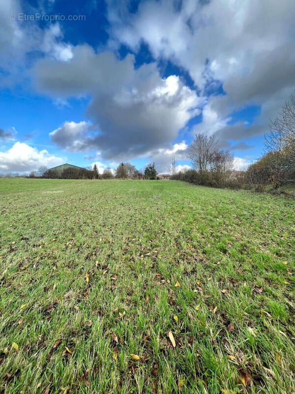 Terrain à MONTMIRAIL