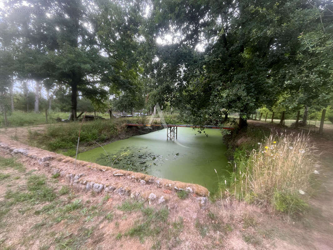 Terrain à TOUR-EN-SOLOGNE
