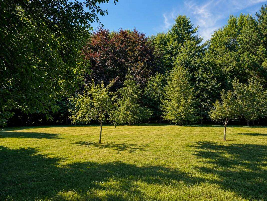 Maison de 13 pièces de 380 m² à Évellys - photo 11