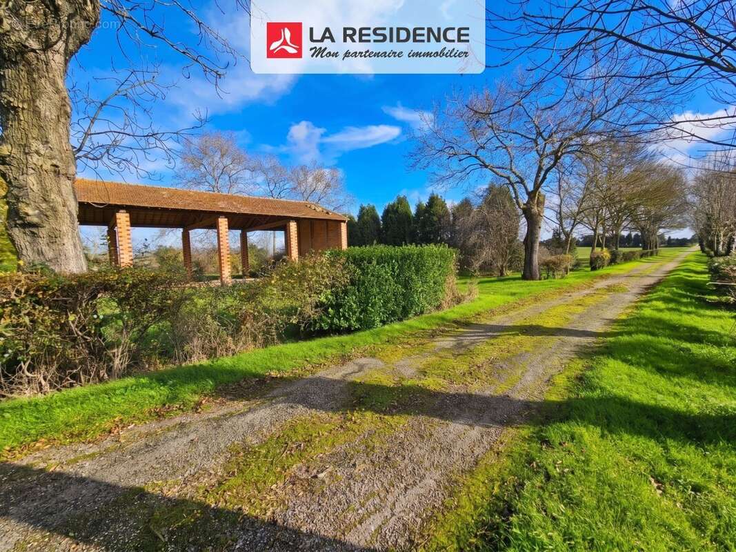 Maison 392 m² à Castelnaudary  - photo 6