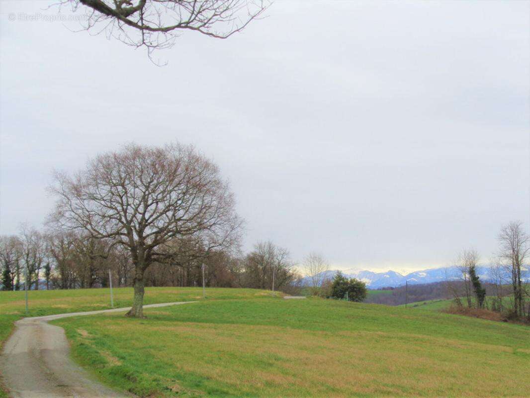 Terrain à BIDACHE