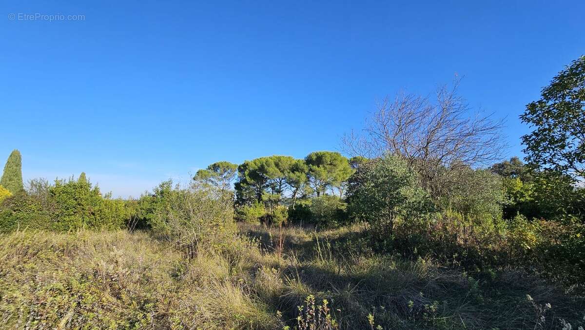 Terrain à SOMMIERES