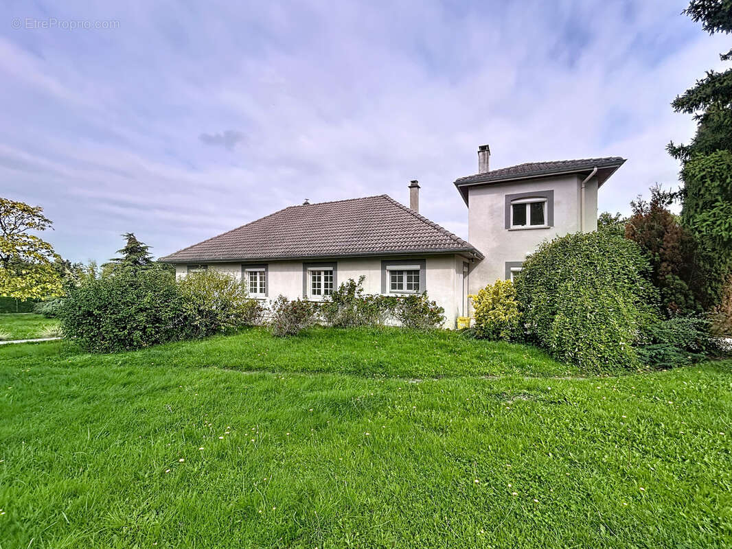 Maison à ECOTAY-L&#039;OLME