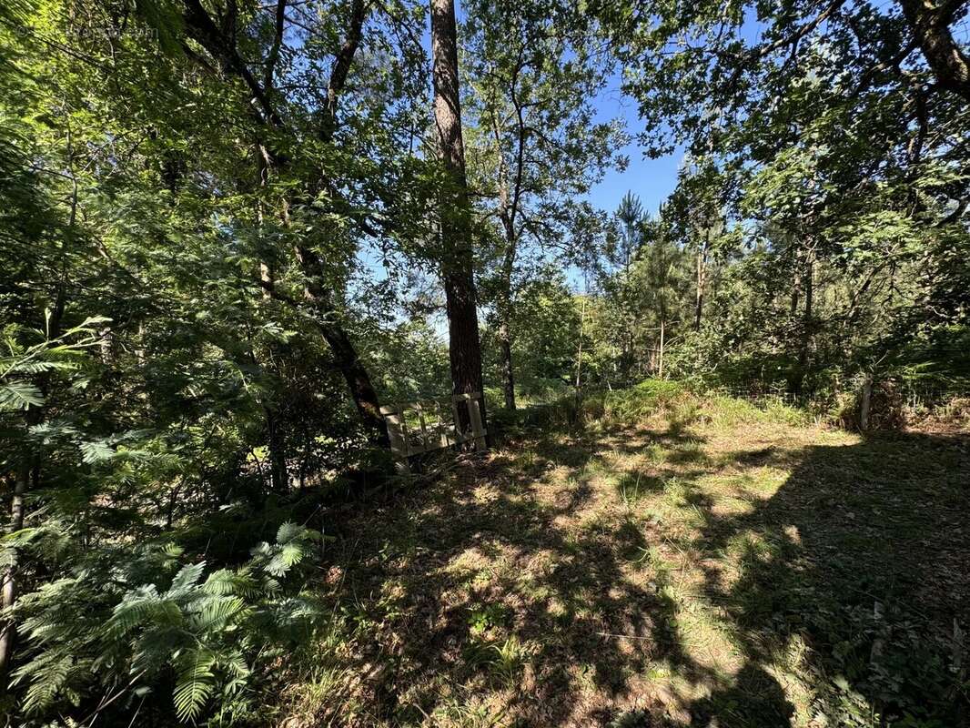 Maison à CAMPSEGRET