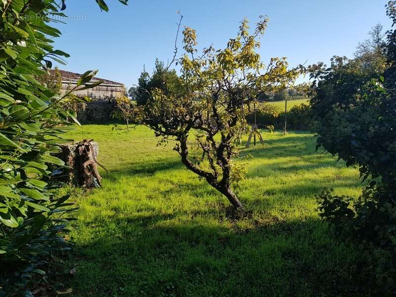 Maison à SAINT-JUIRE-CHAMPGILLON