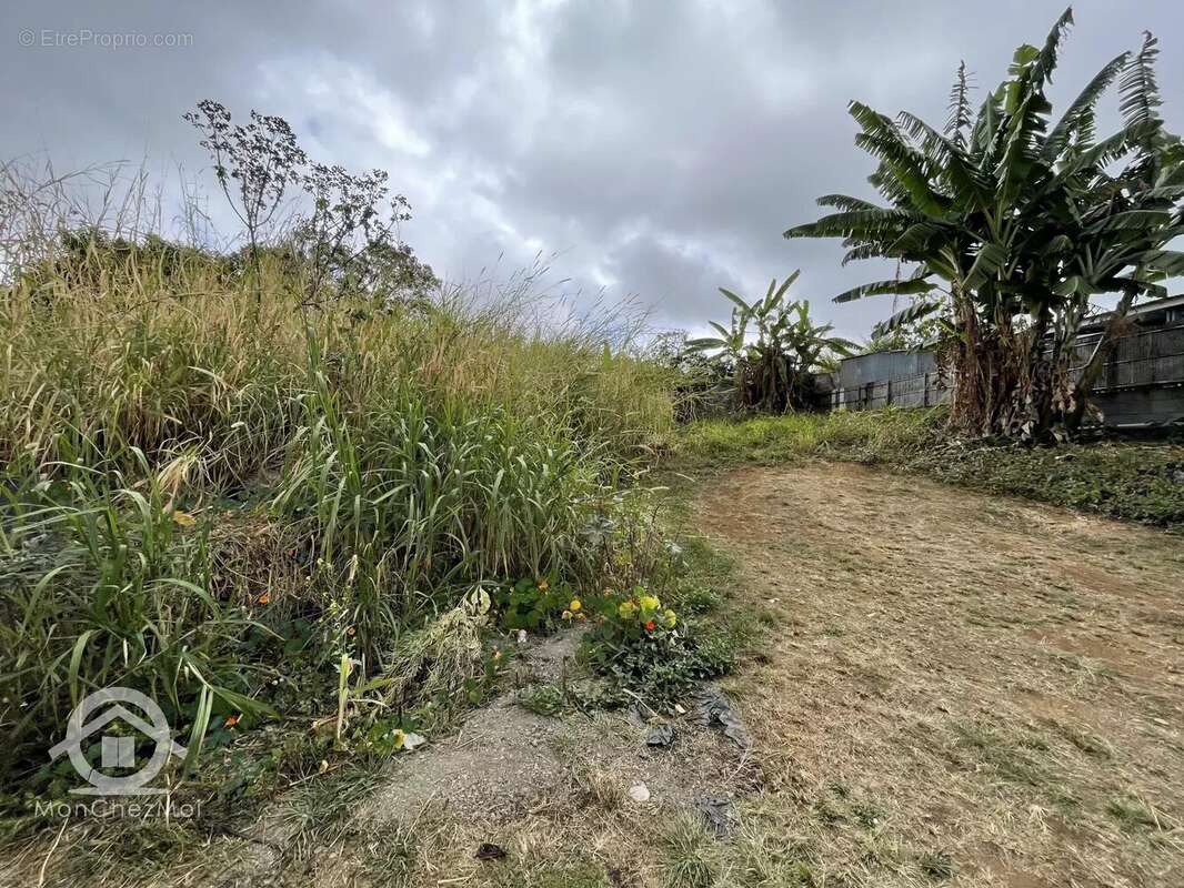 Terrain à LES TROIS-BASSINS