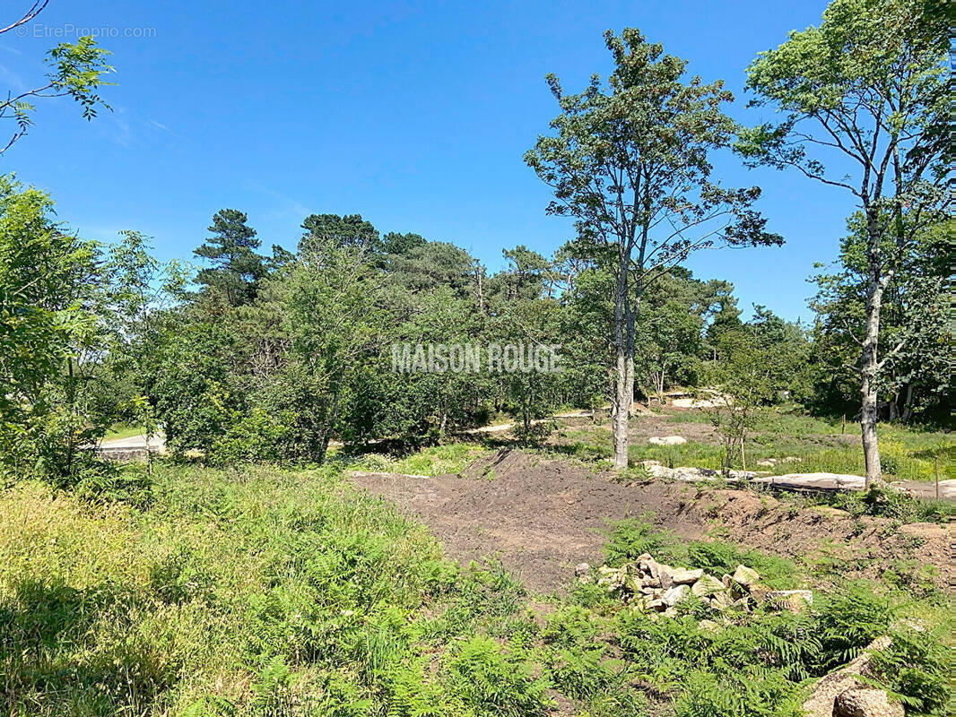 PERROS-GUIREC Terrain libre de constructeur hors lotissement · 131 960 €