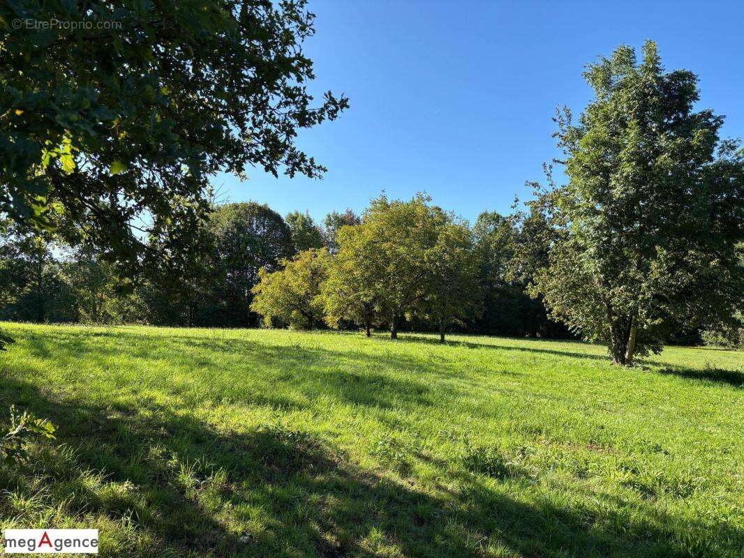 Terrain à SAINT-GERMAIN-LES-VERGNES