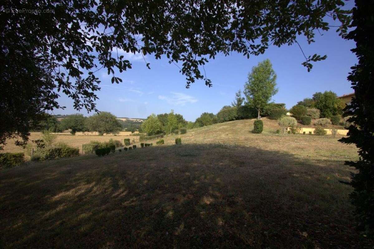 IMG20250128WA0032 - Maison à CAZAUX-D&#039;ANGLES