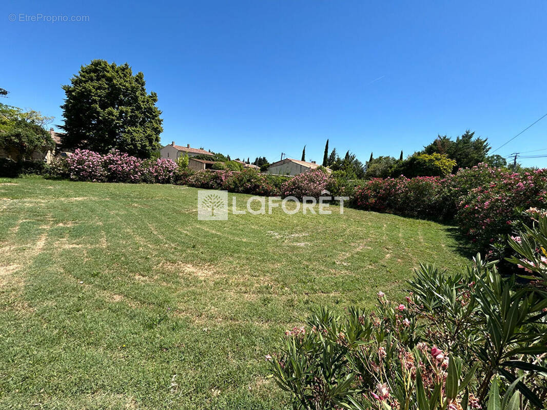 Terrain à L'ISLE-SUR-LA-SORGUE
