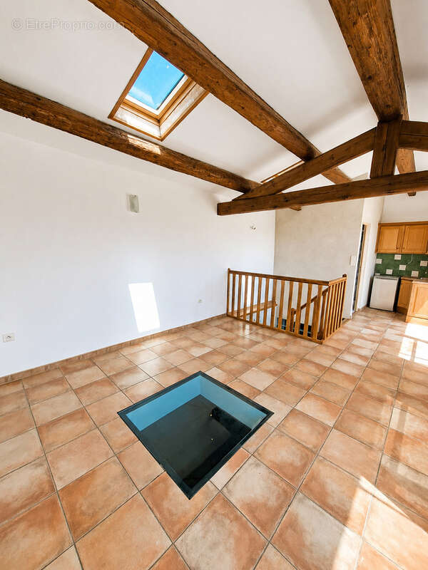 Belle maison avec grande terrasse à Trinquetaille à proximité du centre-ville d'Arles - photo 3