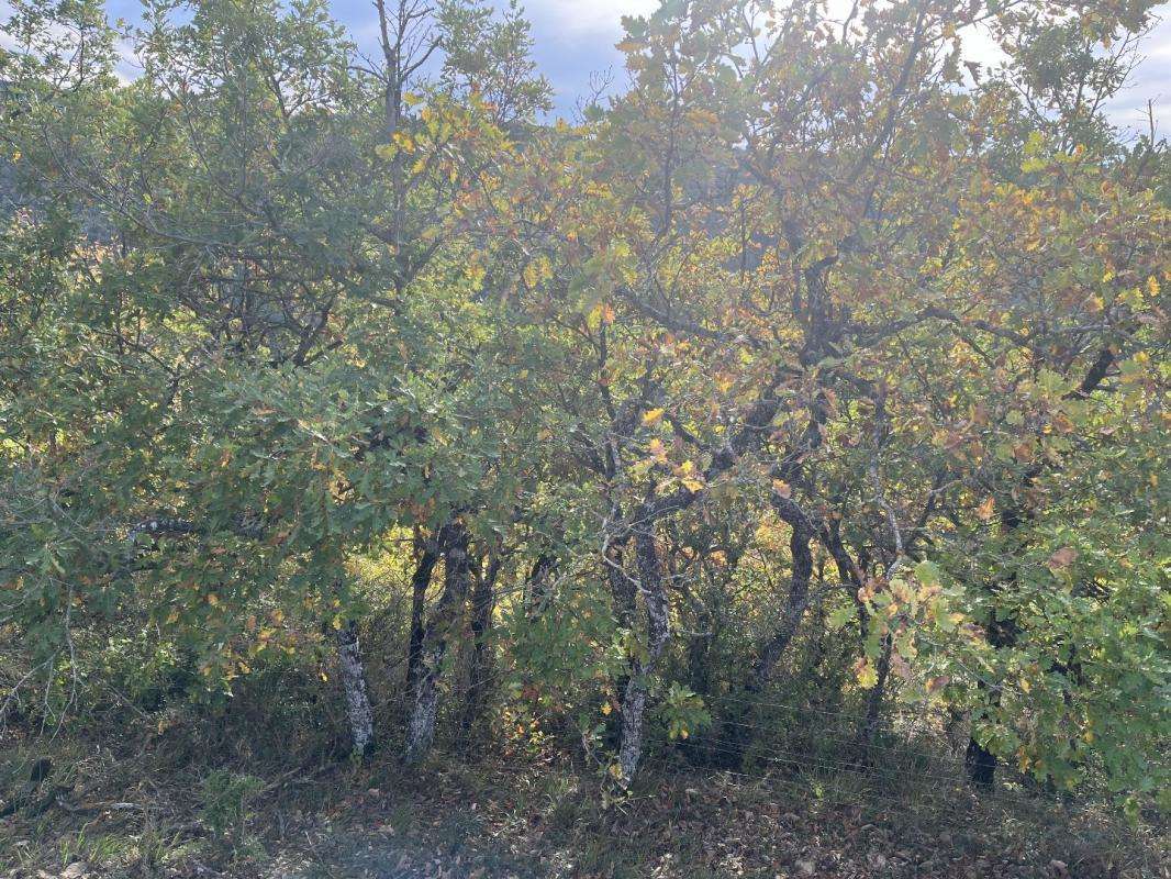 Terrain à VERRIERES