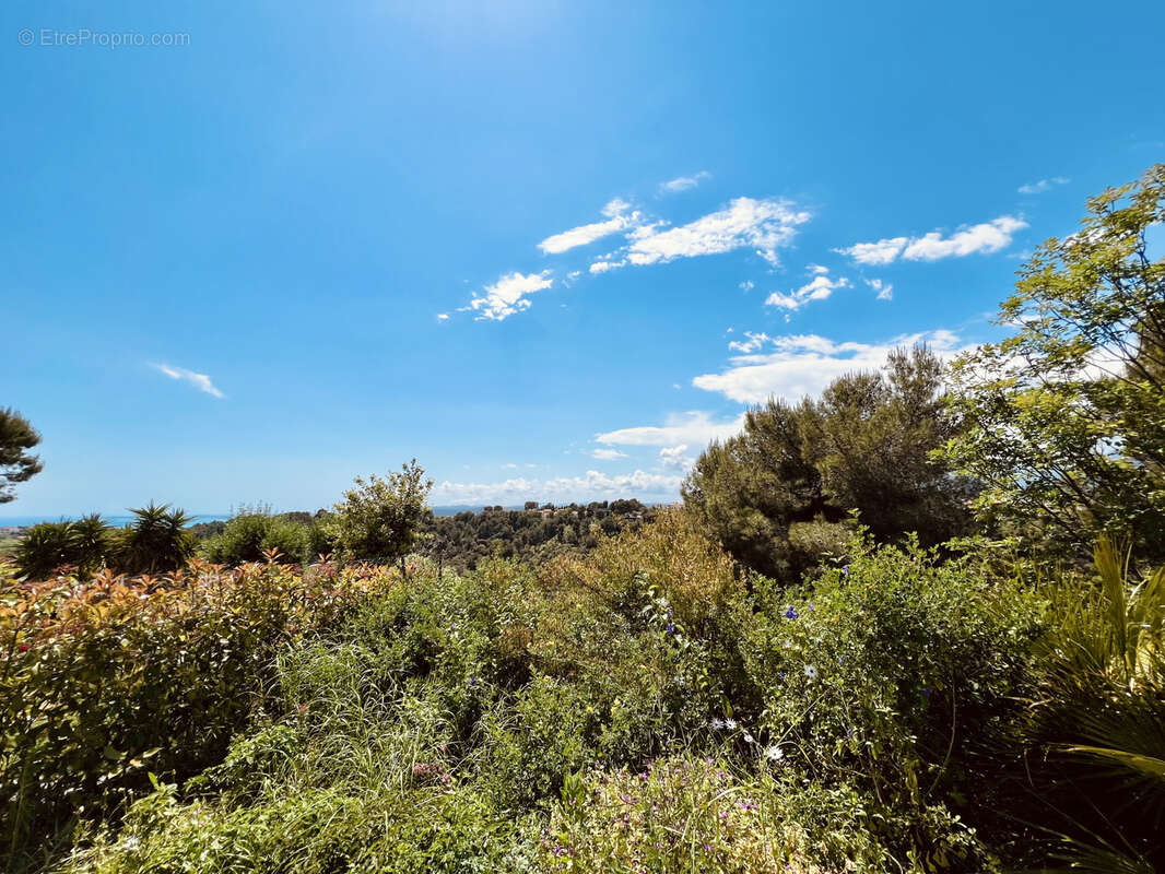 Maison à SAINT-LAURENT-DU-VAR