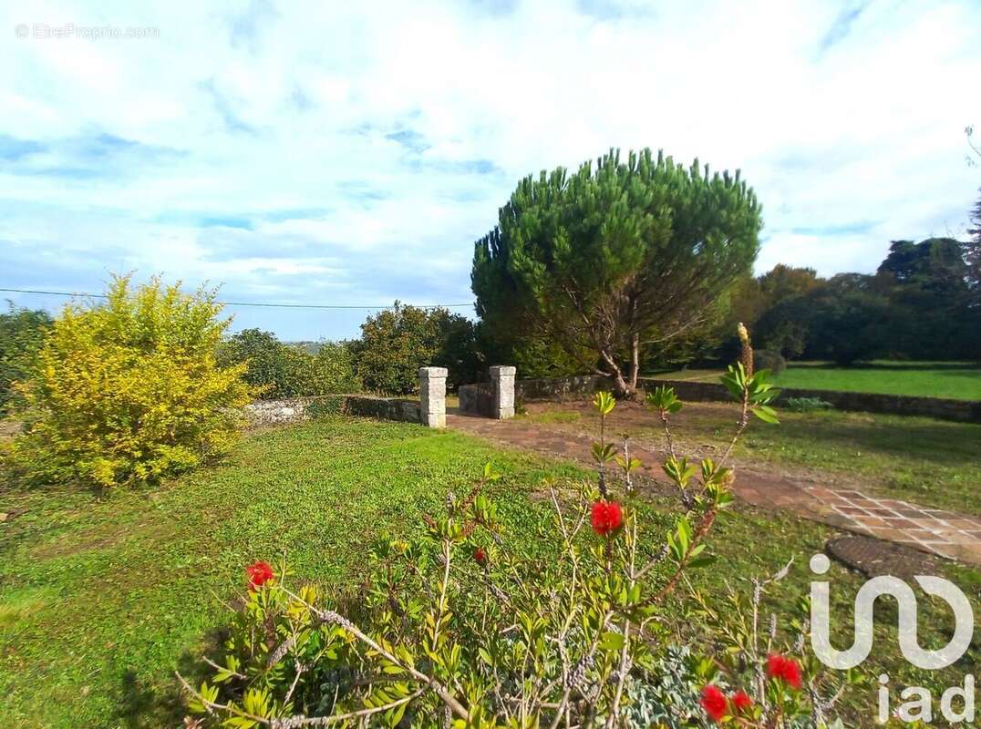Photo 2 - Maison à COLAYRAC-SAINT-CIRQ