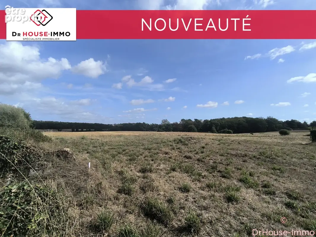 Terrain 1 050 m² à vendre à Allaire (56350) - photo 18