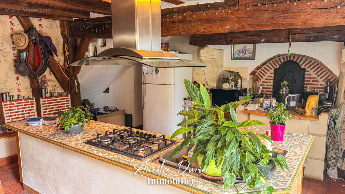 Maison Léonard - Ensemble de Charme à Chanceaux-sur-Choisille - photo 4