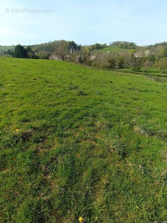 Terrain à FERRIERES-SUR-SICHON