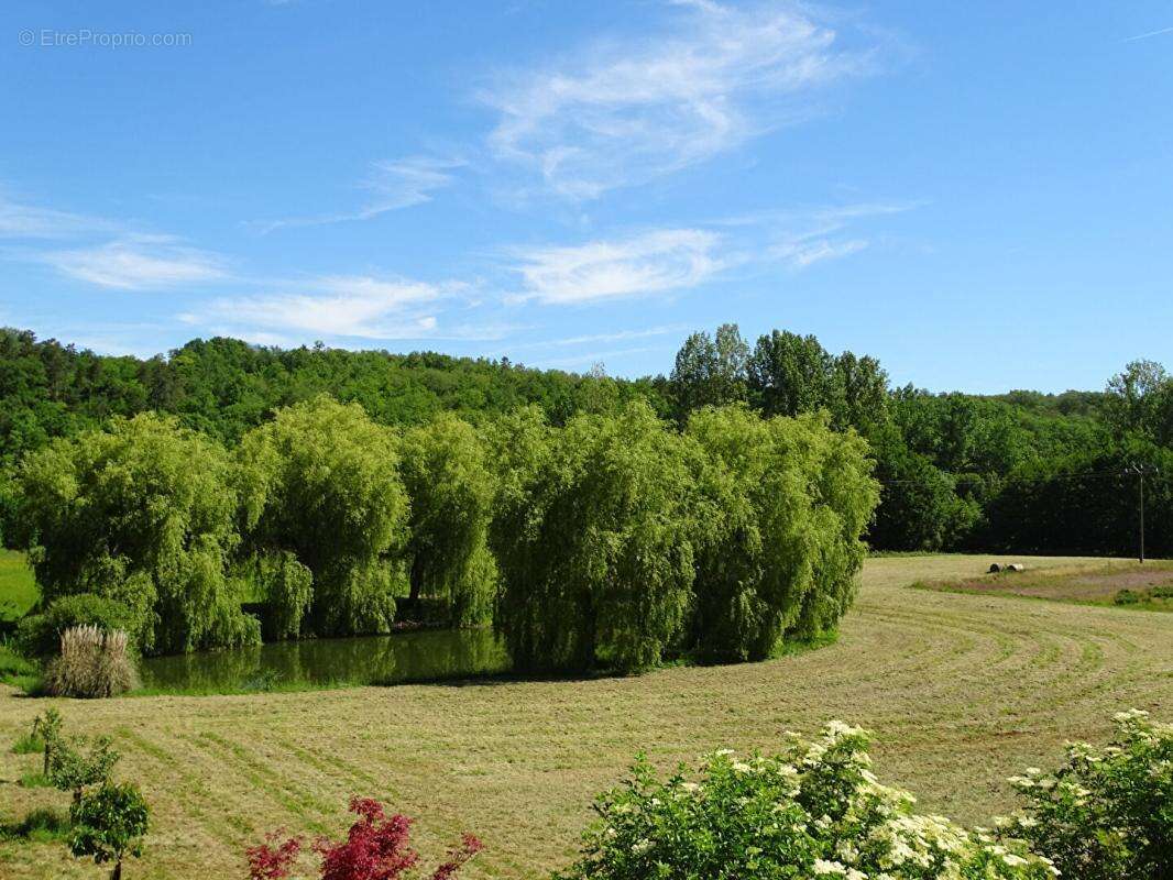 Maison Sainte Orse 4 pièce(s) 195 m2 - photo 5