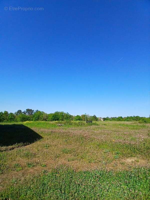 Terrain à SAINT-MARTIN-DE-RIBERAC