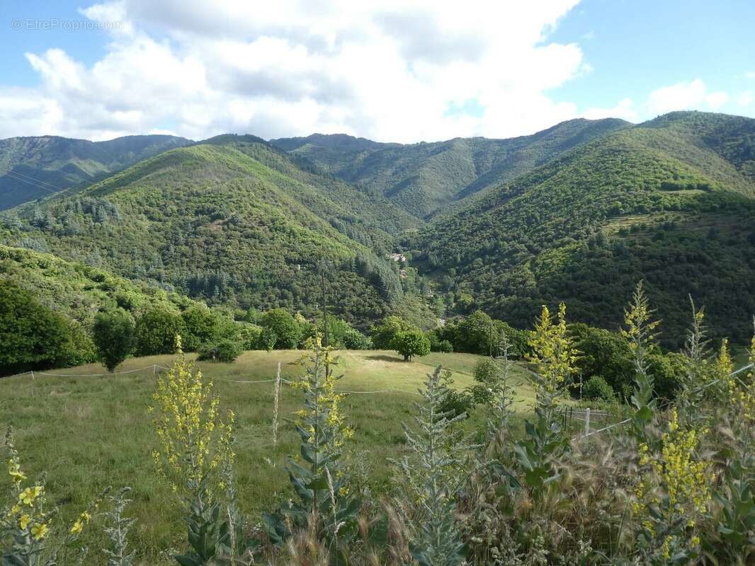 Ensemble immobilier - photo 2
