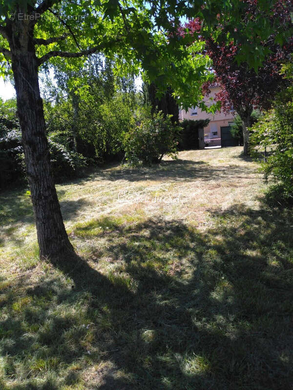 Terrain 603 m² à Rabastens  - photo 3