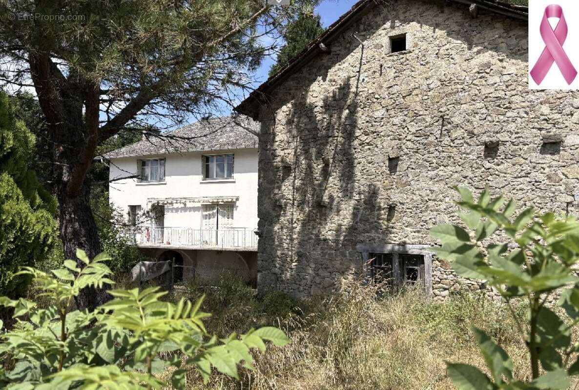 corps de ferme - photo 2