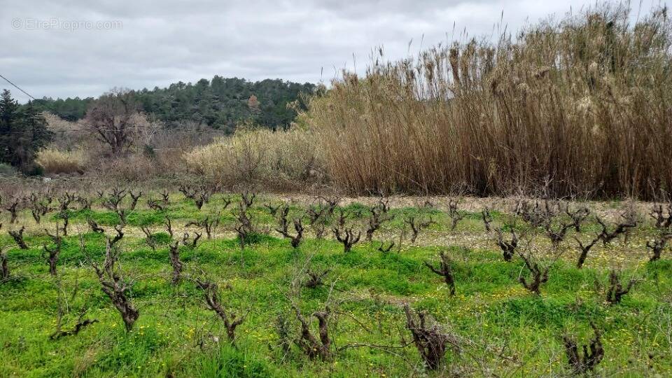 Terrain à PIERREFEU-DU-VAR