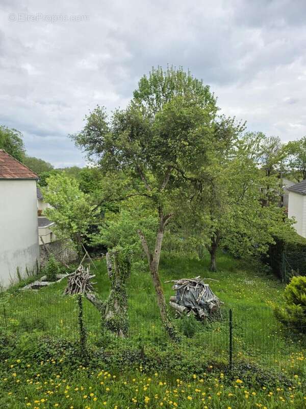 Photo 8 - Maison à VILLEMOISSON-SUR-ORGE